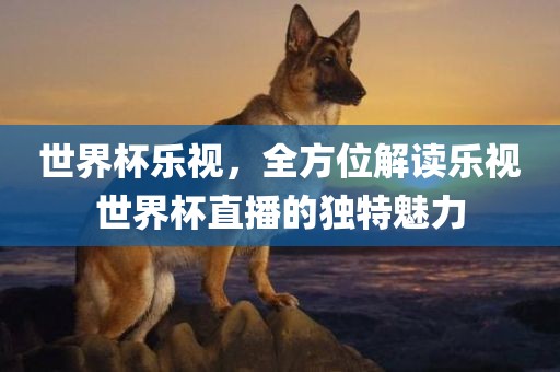 世界杯乐视，全方位解读乐视世界杯直播的独特魅力