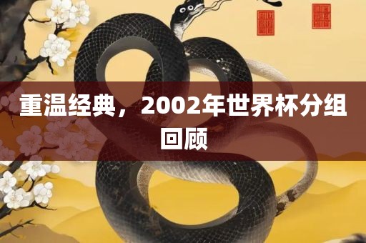 重温经典，2002年世界杯分组回顾