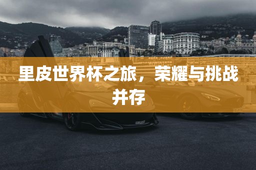 里皮世界杯之旅，荣耀与挑战并存