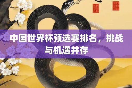 中国世界杯预选赛排名，挑战与机遇并存