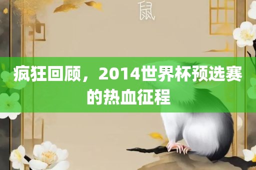 疯狂回顾，2014世界杯预选赛的热血征程