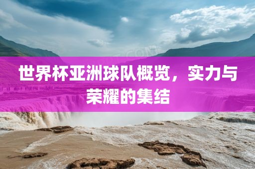 世界杯亚洲球队概览，实力与荣耀的集结