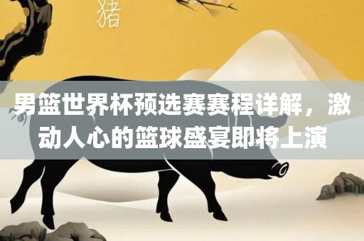 男篮世界杯预选赛赛程详解，激动人心的篮球盛宴即将上演