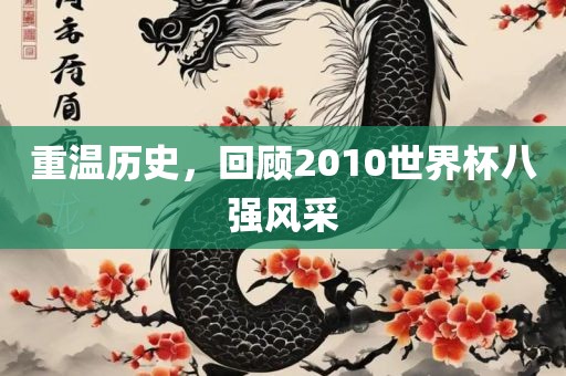 重温历史，回顾2010世界杯八强风采