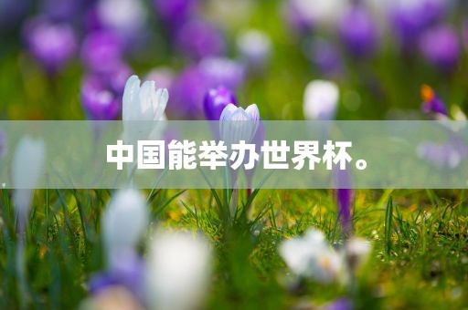 中国能举办世界杯。