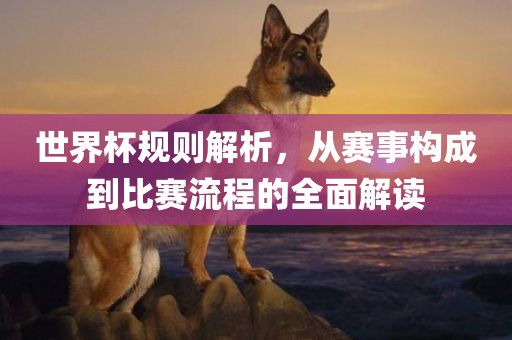 世界杯规则解析，从赛事构成到比赛流程的全面解读