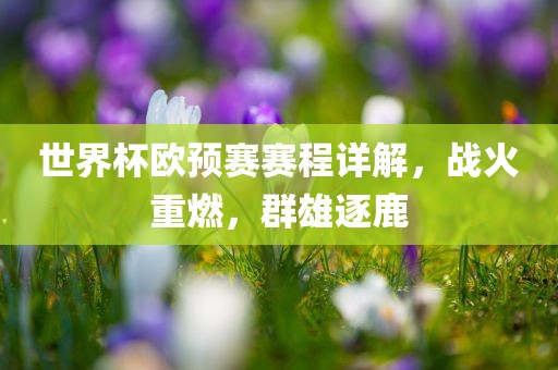 世界杯欧预赛赛程详解，战火重燃，群雄逐鹿