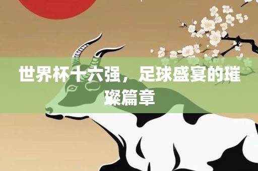 世界杯十六强，足球盛宴的璀璨篇章