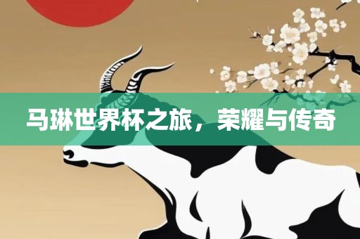 马琳世界杯之旅，荣耀与传奇