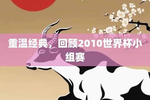 重温经典，回顾2010世界杯小组赛
