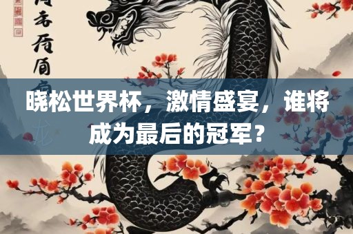 晓松世界杯，激情盛宴，谁将成为最后的冠军？