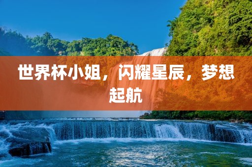 世界杯小姐，闪耀星辰，梦想起航
