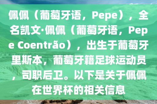 佩佩（葡萄牙语，Pepe），全名凯文·佩佩（葡萄牙语，Pepe Coentr?o），出生于葡萄牙里斯本，葡萄牙籍足球运动员，司职后卫。以下是关于佩佩在世界杯的相关信息
