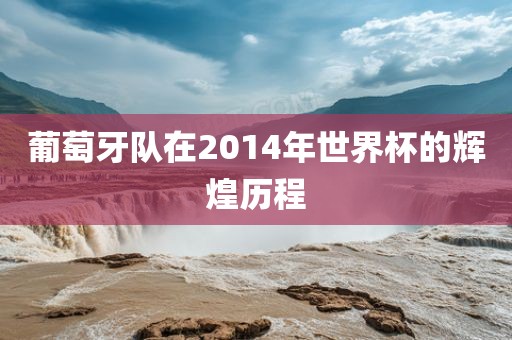 葡萄牙队在2014年世界杯的辉煌历程