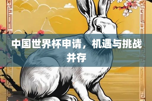 中国世界杯申请，机遇与挑战并存