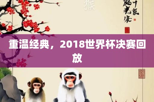 重温经典，2018世界杯决赛回放