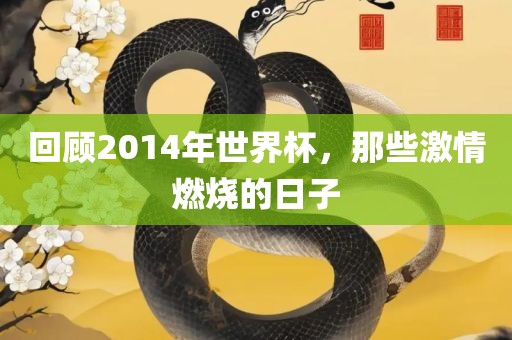 回顾2014年世界杯，那些激情燃烧的日子