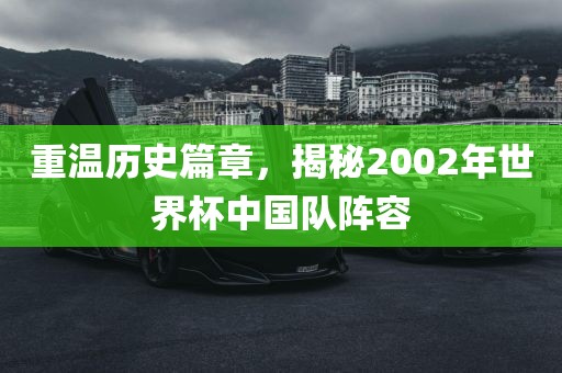 重温历史篇章，揭秘2002年世界杯中国队阵容