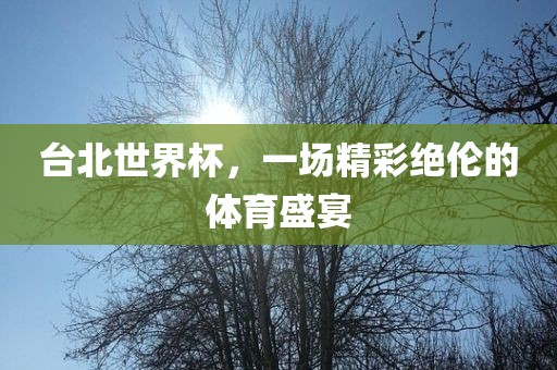 台北世界杯，一场精彩绝伦的体育盛宴