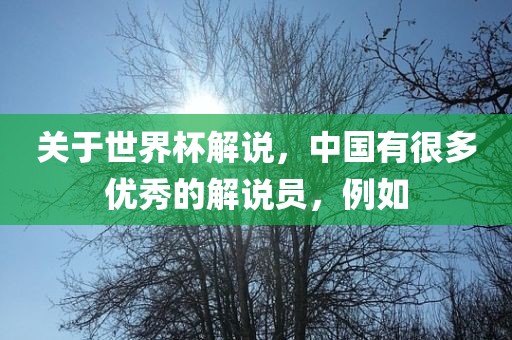 关于世界杯解说，中国有很多优秀的解说员，例如