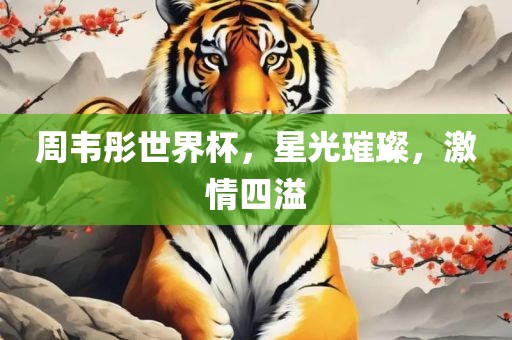 周韦彤世界杯，星光璀璨，激情四溢