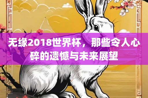 无缘2018世界杯，那些令人心碎的遗憾与未来展望