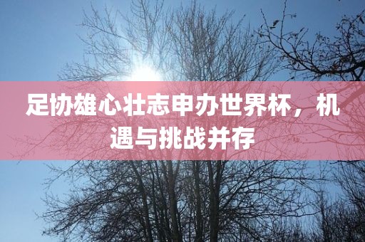 足协雄心壮志申办世界杯，机遇与挑战并存