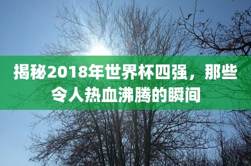 揭秘2018年世界杯四强，那些令人热血沸腾的瞬间