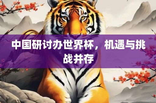 中国研讨办世界杯，机遇与挑战并存