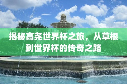 揭秘高尧世界杯之旅，从草根到世界杯的传奇之路