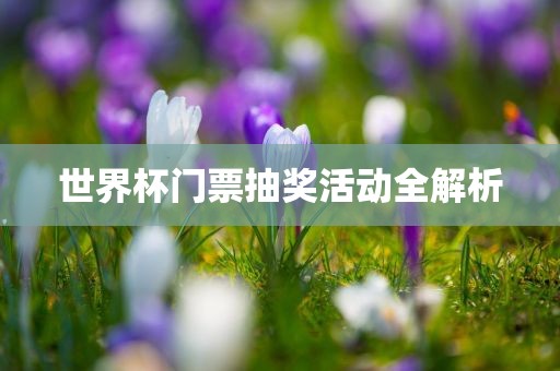 世界杯门票抽奖活动全解析