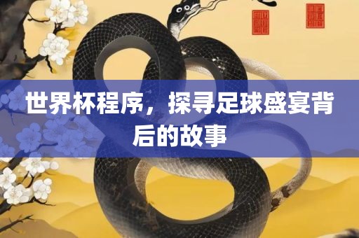 世界杯程序，探寻足球盛宴背后的故事