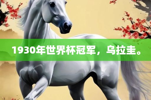 1930年世界杯冠军，乌拉圭。