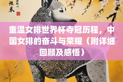 重温女排世界杯夺冠历程，中国女排的奋斗与荣耀（附详细回顾及感悟）