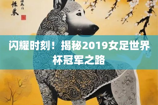闪耀时刻！揭秘2019女足世界杯冠军之路