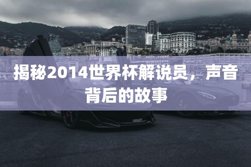 揭秘2014世界杯解说员，声音背后的故事