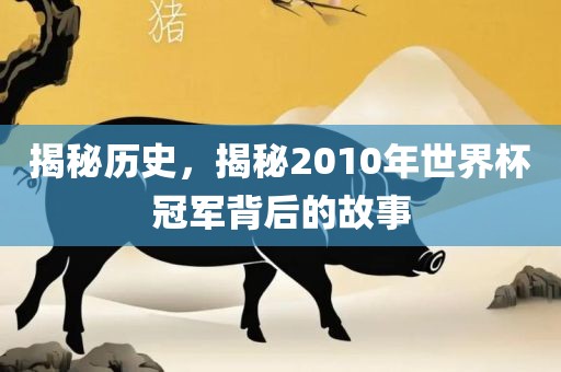 揭秘历史，揭秘2010年世界杯冠军背后的故事