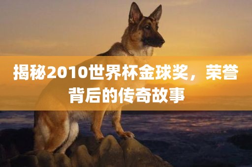 揭秘2010世界杯金球奖，荣誉背后的传奇故事
