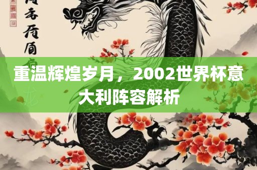 重温辉煌岁月，2002世界杯意大利阵容解析