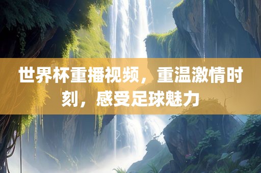 世界杯重播视频，重温激情时刻，感受足球魅力