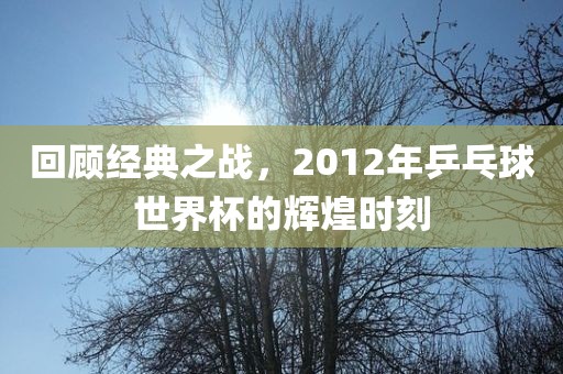 回顾经典之战，2012年乒乓球世界杯的辉煌时刻