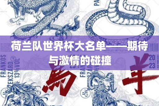 荷兰队世界杯大名单——期待与激情的碰撞