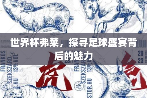 世界杯弗莱，探寻足球盛宴背后的魅力
