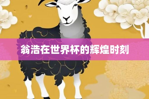 翁浩在世界杯的辉煌时刻