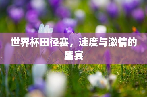 世界杯田径赛，速度与激情的盛宴