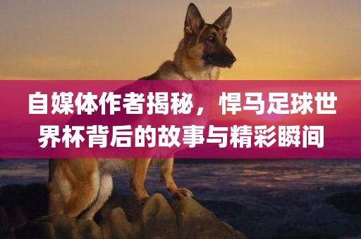 自媒体作者揭秘，悍马足球世界杯背后的故事与精彩瞬间