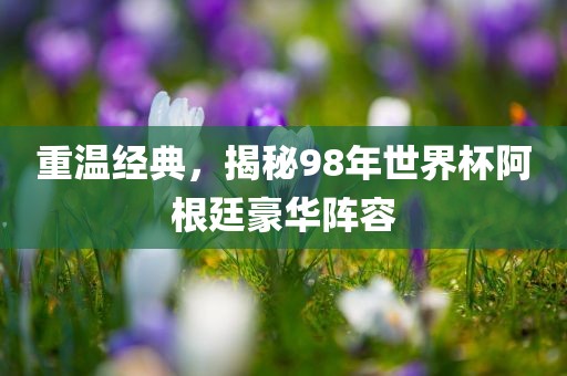重温经典，揭秘98年世界杯阿根廷豪华阵容