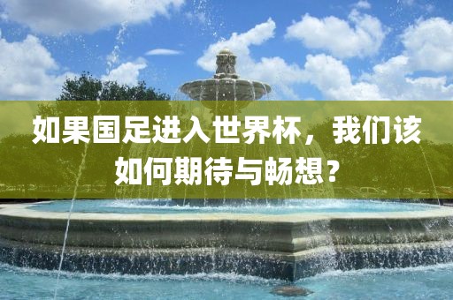 如果国足进入世界杯，我们该如何期待与畅想？