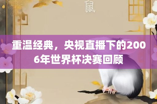 重温经典，央视直播下的2006年世界杯决赛回顾