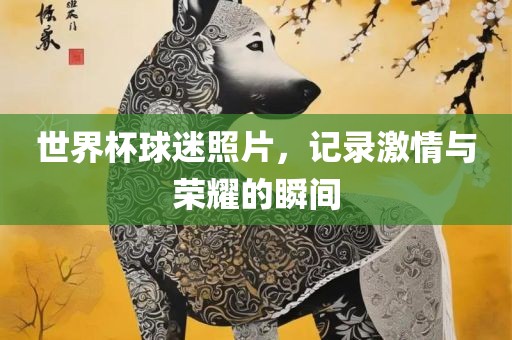 世界杯球迷照片，记录激情与荣耀的瞬间